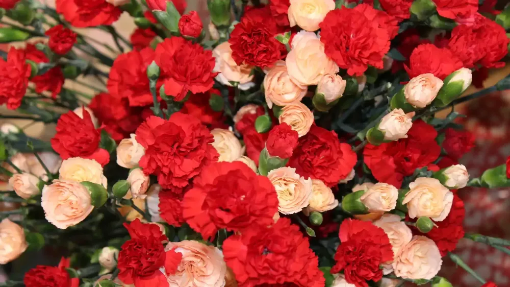 fleurs