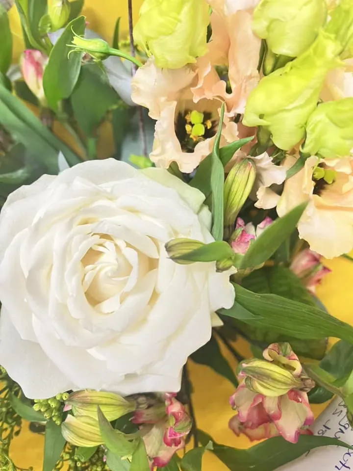 fleurit (2)